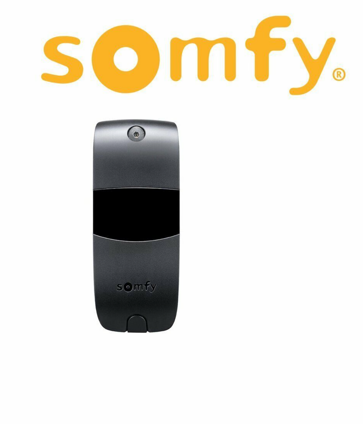 Flügeltorantrieb SOMFY SGS RTS Essential