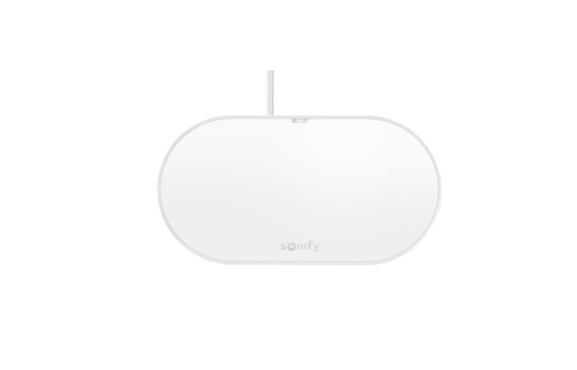 Flügeltorantrieb Somfy Exavia Star RTS + Smart Home Connect Online-Kit