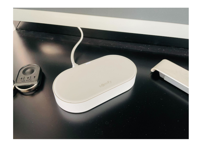 Flügeltorantrieb Somfy Exavia Star RTS + Smart Home Connect Online-Kit