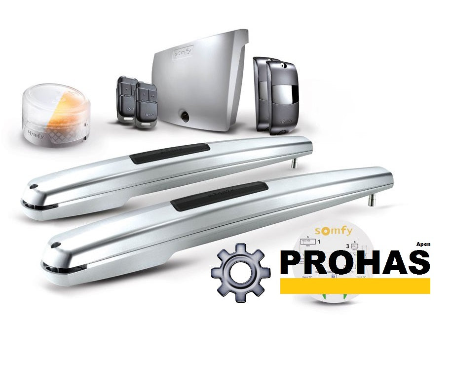 Doppelflügel Schmiedetor "Vitara " inkl. 3 Pfosten und Zubehör