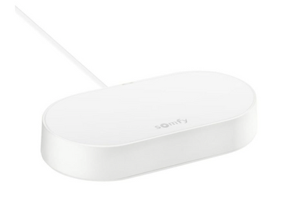 XXL-SET Somfy Exavia Star RTS + Smart Home + Videoklingel V100