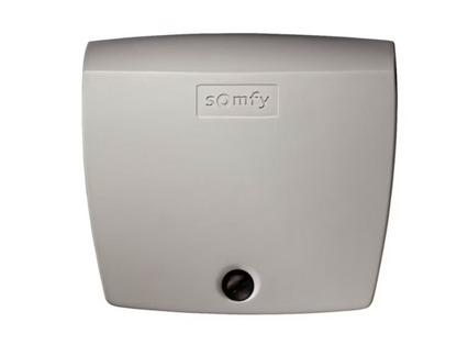 XXL-SET Somfy Exavia Star RTS + Smart Home + Videoklingel V100